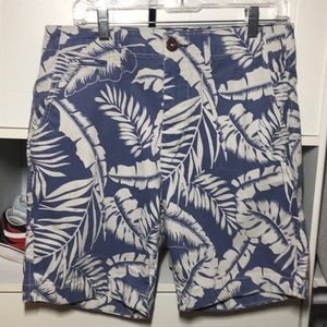 Blue/white American Eagle shorts